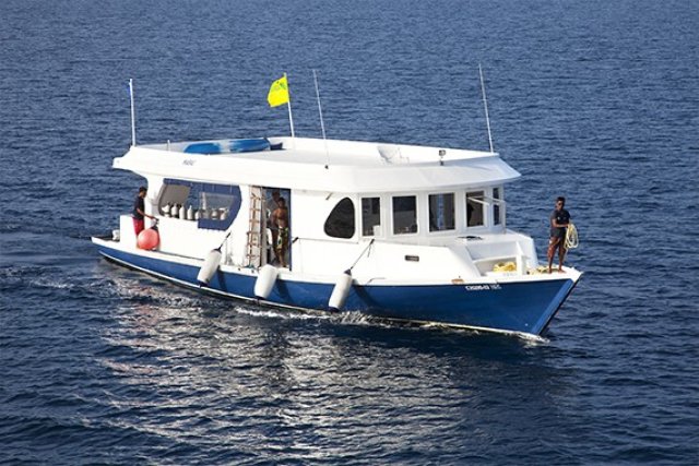 UPDATED: Diving ah dhiya italy 5 meehun ge therin maruvee ekaku, ithuru 4 meehaku gellhigen hoadhanee