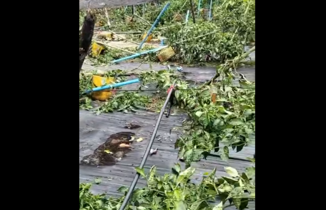Boa vissaaraigai kandoodhoo ge dhandu thakah bodethi gellun thakeh