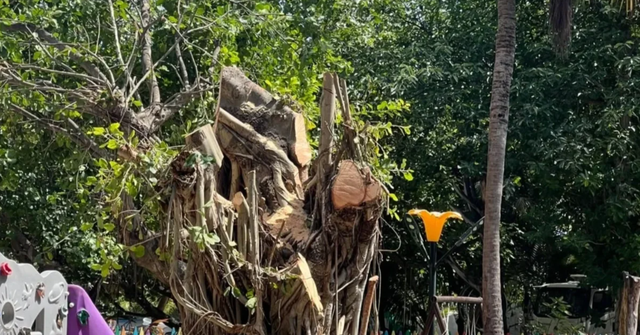 Vilimale ge dhuvas vee nukagas kendi massala nubalan fuluhun ninmaifi