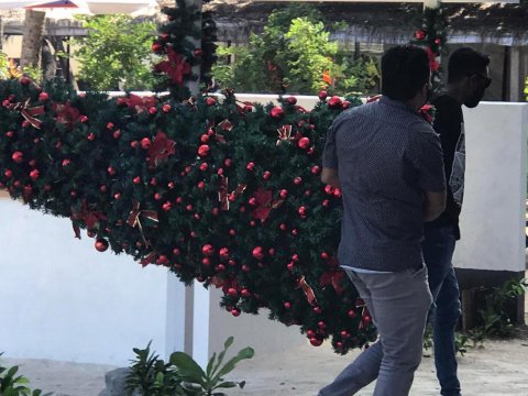 Maafushee athirimatheegai behetti christmas tree eh fuluhun nagaifi