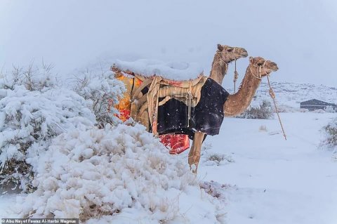 Saudi Arabia ah snow faibanee 