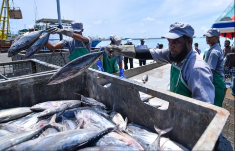 Raajjein export kuri mahuge adhadhah bodu kuri erumeh