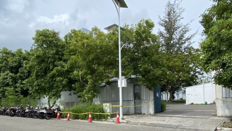 Covid ah faruva hoadhamun dhiya 81 aharu ge meehaku mauvejje