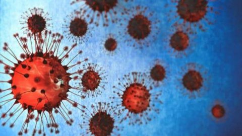 India gai aa pandemic eh ufedhidhaane kamuge biru heevejje