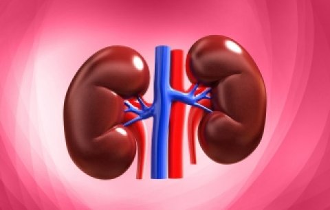 Sihhathu rangalhu kidney akah mikankan kuran vaane!