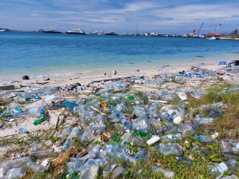 Faadukiyunthah amaazuvumun HDC in Farukolhufushi beach saafu koffi