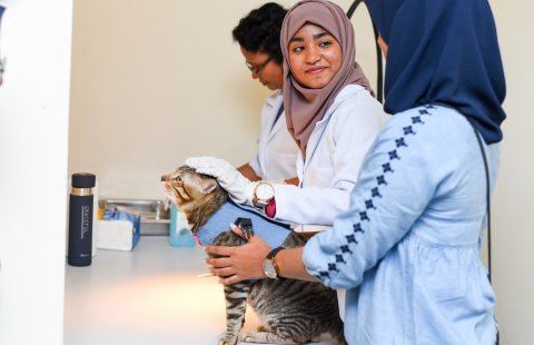 Villimale vet clinic ge hidhumai huttaalanee