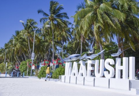 Hashi vikkaa thaneh ge gothugai Maafushi sifakurumun, Council nuruhun faalhu koffi