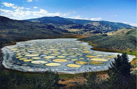 Spotted Lake: Hairaan kuruvanivi thiki jehi fen gandu