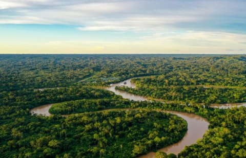 3000 aharah vure gina dhuvas vee sahareh Amazon jangalin fenijje