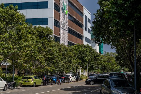 Tree Top Hospital in dhai bleach kuraa faraaithakah 