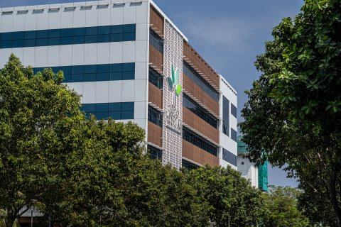 Hajjuverinnah haassa flue clinic eh treetop gai hulhuvaifi