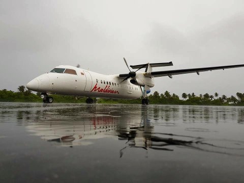 Runway ge fenvaru dhah ve koodoo ah dhathuru nukuran Maldivian in ninmaifi