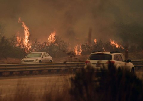 Los Angeles gai vai thagayyaru ve, sihkhee nurahkaatherikan boduvejje