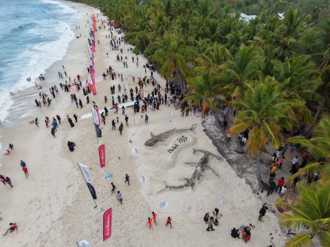 Mi aharu ves foarigadha harakaaiythakaa eku maahifun fuvahmulak thundeegai bavvaifi