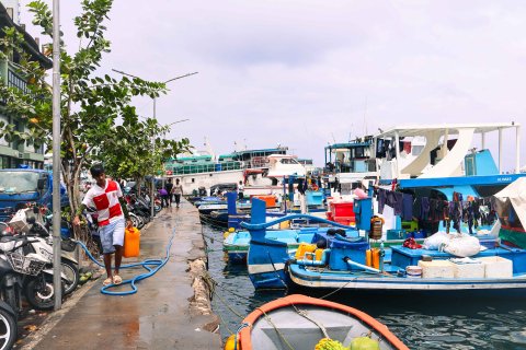 Magu fulhaakurumuge masahkaiy kuran masmarket sarahahdhugai huri dhaonithah nagan anagifi