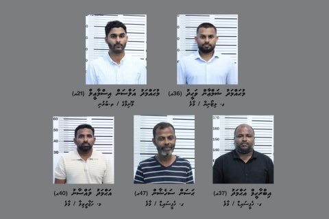 Immigration massalaiga hayyarukuri meehunge vanavaru haama koffi