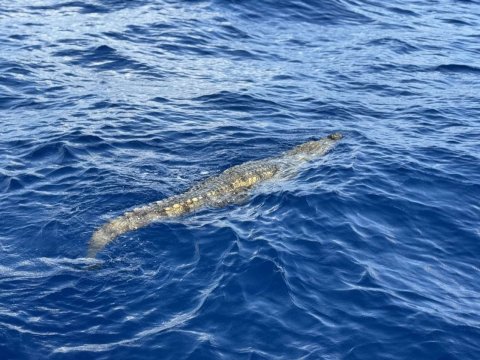 Resort eh kairin fenunu kinboo sifain hifaifi
