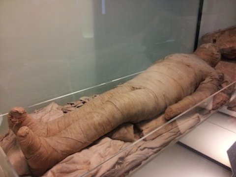 Peru ge kuni alhaa sarahaddhakun 5,000 aharu kureege mummy eh fenijje 