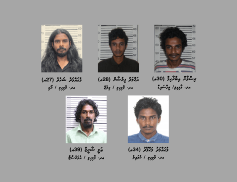 Maamigilin masthuvaa thaketheege bodu network eh athulaigenfi