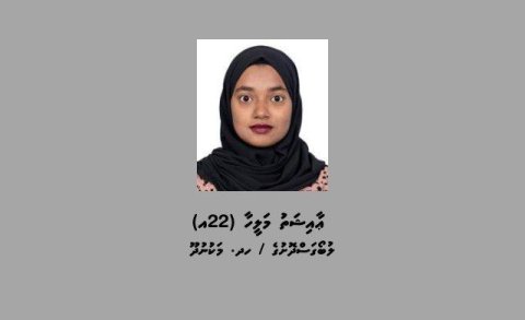 Sahha noon transfer slip fonuvi anhenaku hoadhanee