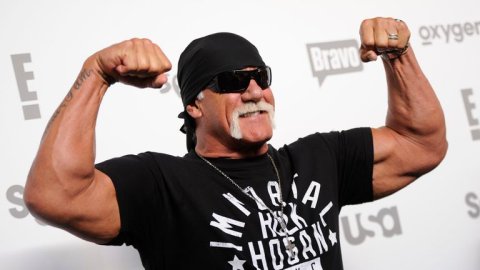 Wrestling thari Hulk Hogan maruvejje
