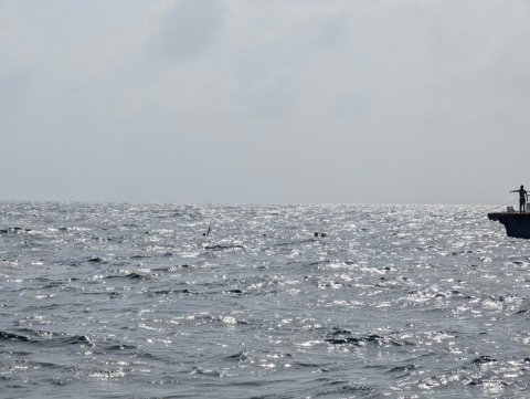 Kumudhoo kairin dhoani bandun jahaali haadhisa gai meehaku maruvejje