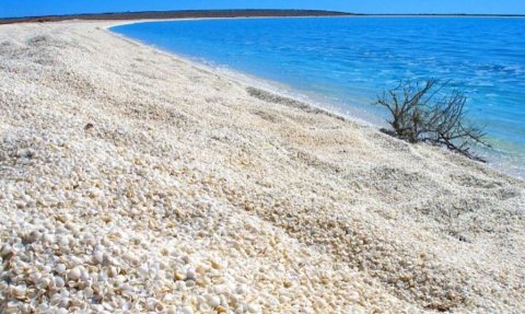 Mi'ee veyyeh noon, boleege gondu dhosheh!