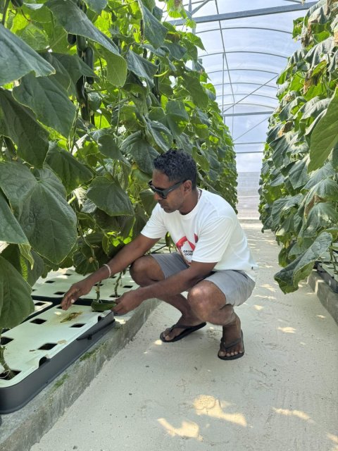 PEOPLE: Zamanee dhanduverikan koh Ramzee midhinee zuvaanunnah Aa filaavalhei!