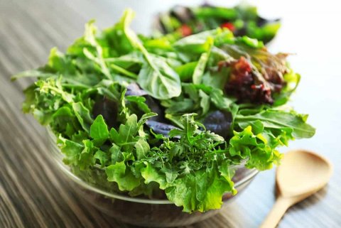 Fehikan gadha faiypilaa velin sihhathah gina faidhaa thakeh!