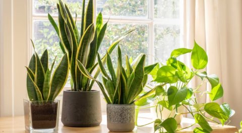 Geythere ah aaroa kamaai thaazaa kan genesdhey 5 gaheh!