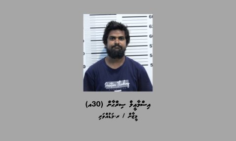 Dollar feyrunu massalaigai ithuru meehaku hayyaru kohfi, Jumla 8 meehaku hayyarah