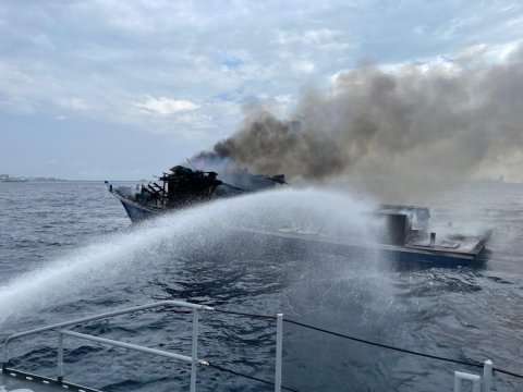 Mas dhoaneega alifaan roavi haadhisaa gai aniyaavi 5 meehakah faruvaadhenee