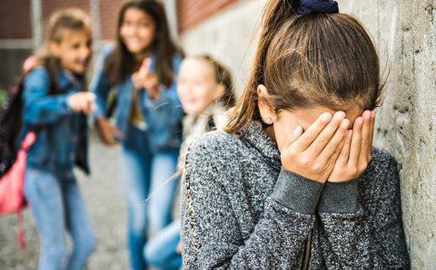 Dharifulhah ganaa kurevemun dhaakan dhenegane ehee vaanee kihineh?