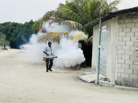Landhoo gai humeh fethuri, gina bayaku balivaathee covid aai influenza ah test kuranee 