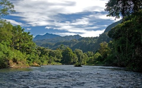 Mulu National Park: Borneo ge jangali thakaai foruvifaivaa hoholha thakuge sirru!
