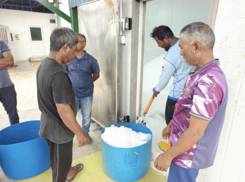 Masveringe kanboduvumaa eku Kanduoigirin ice vikkan fashaifi
