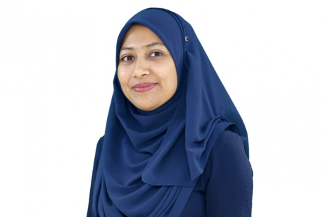 Infrastructure development solution company ge board ah Nazleena ayyan koffi