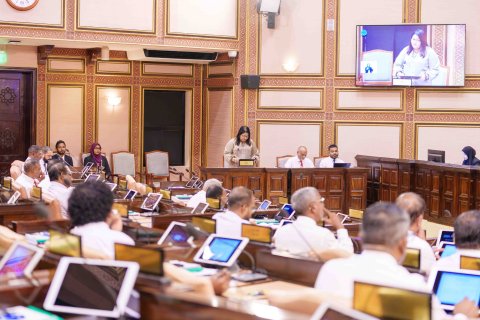 Kuree sarukaarun sihhee mashroouthah havaalu kuri gothun 60 million ruffiyaa israafuvi: Geela