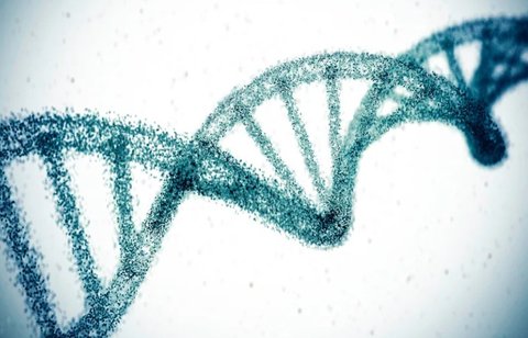 Gene therapy in cholestrol mathivumah dhaaimee faruvaa ehge ummeedhu aa vejje